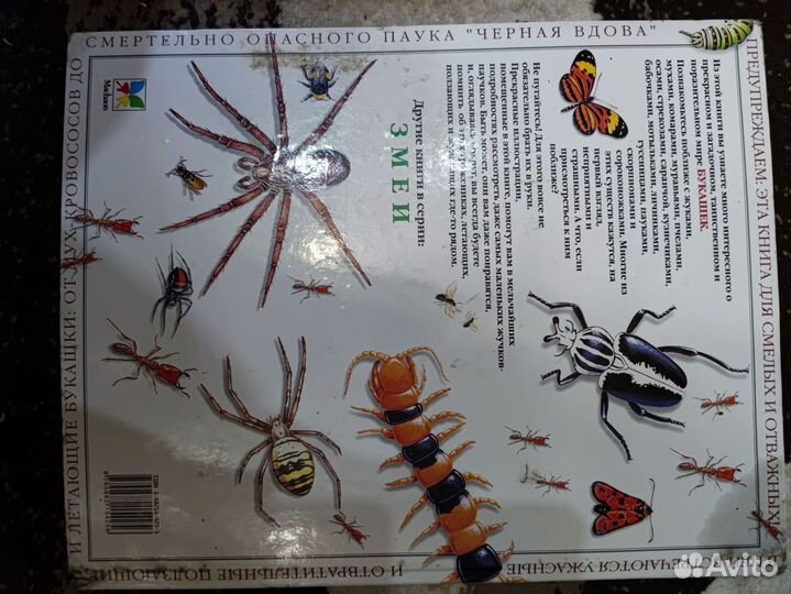 Загадочные и удивительные пауки. Энциклопедия