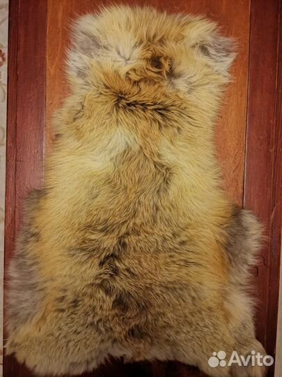 Шкурка животного