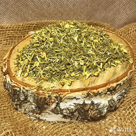 Якорцы стелющиеся Травы Алтая