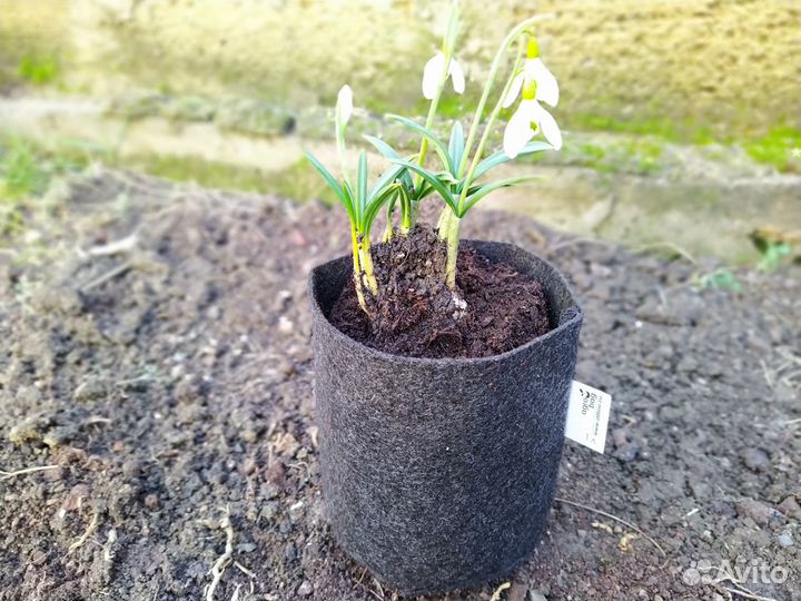 Контейнеры из геотекстиля для растений, от 1литра