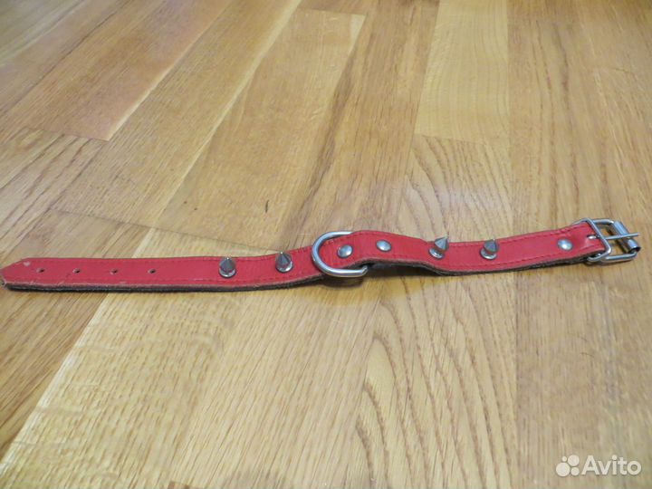 Ошейник для маленькой собачки