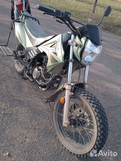 Racer Forester 200LT