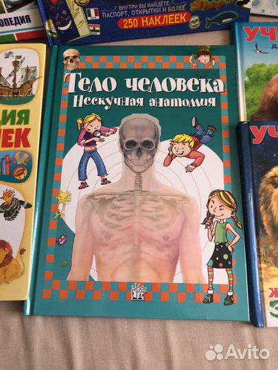 Энциклопедия для малышей