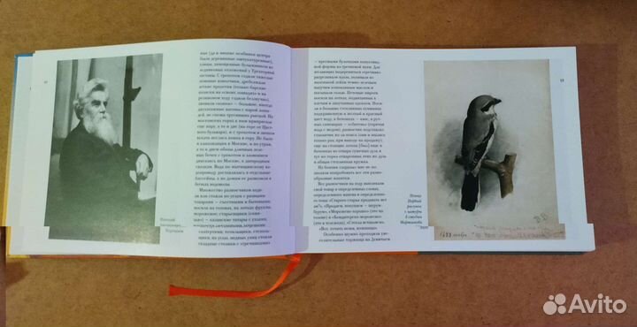 Василий Ватагин. Воспоминания