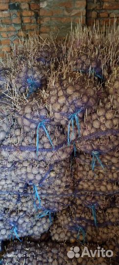 Бесплатно. Корм животным и птице