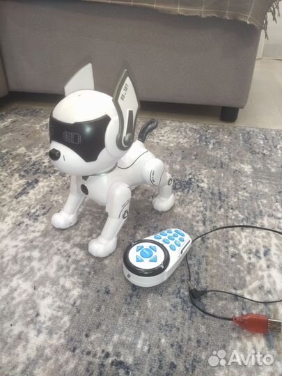 Робот собака