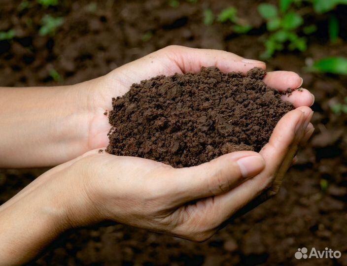 Навоз перегной