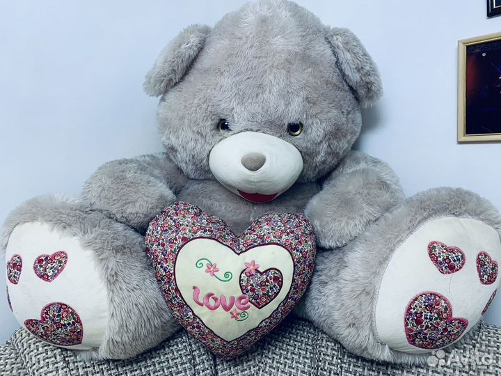 Медведь большой