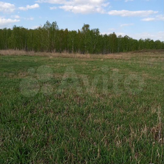 Участок 12 сот. (ИЖС)