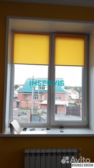 Зебра день ночь амиго