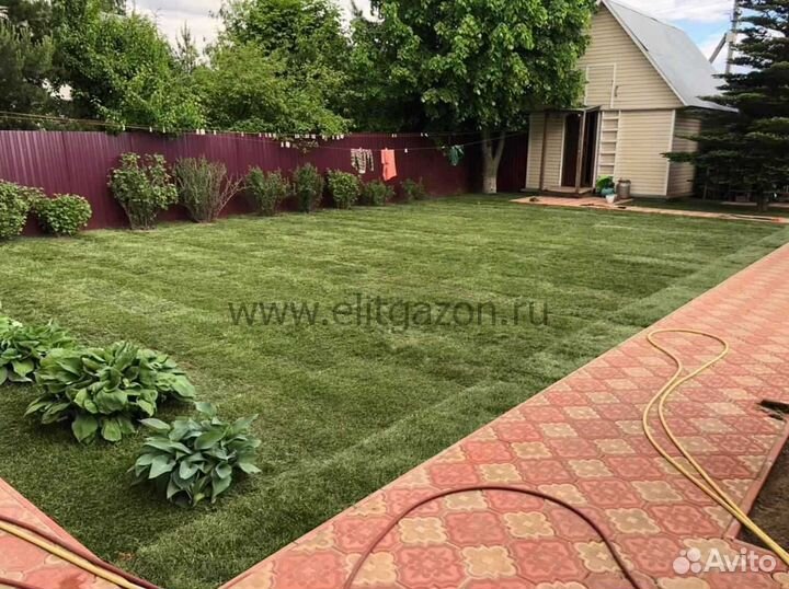 Укладка и продажа рулонного газона