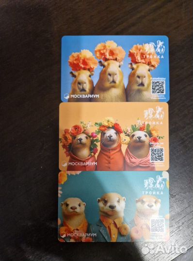 Карта Тройка Москвариум