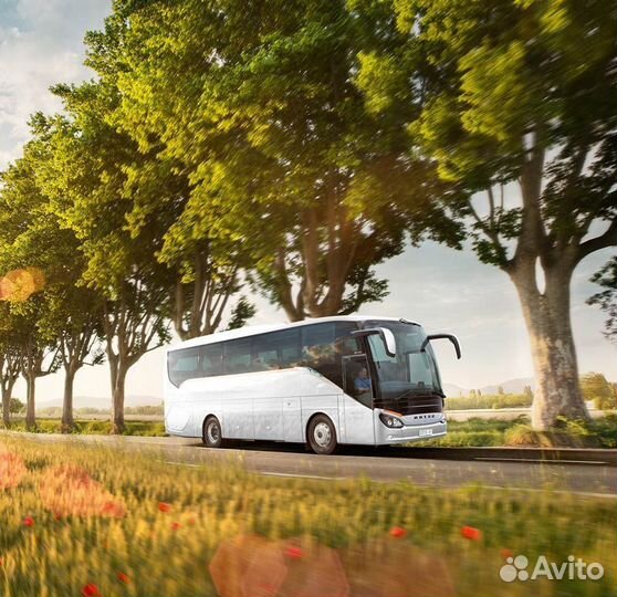 Поездки в Польшу, Грузию