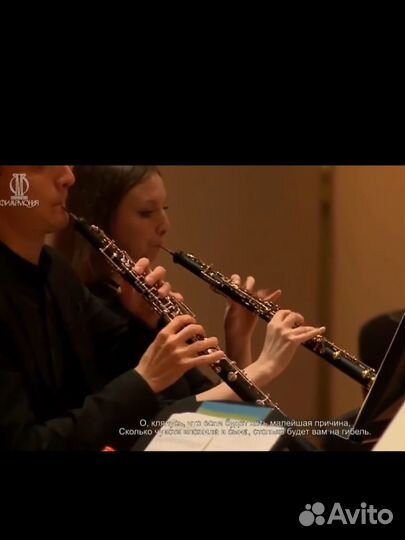 Преподаватель по блокфлейте и гобою