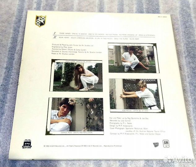 Виниловые пластинки