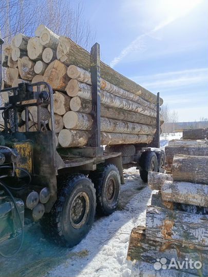 Лес кругляк