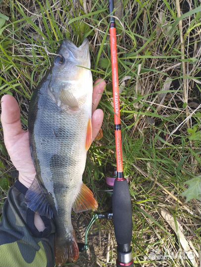 Спиннинг Maximus pointer 21XUL 2,1 м. 0,4-4 гр