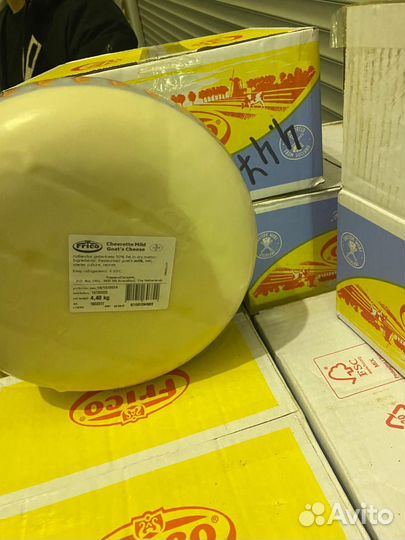 Сант агюр, козий фрико, ильчестры, хамоны