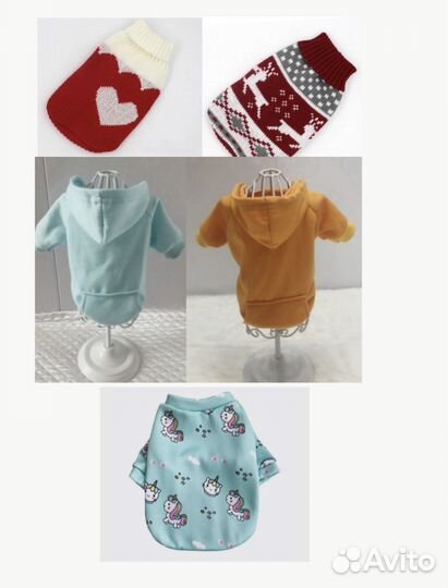 Одежда для кота или собаки 500 за все