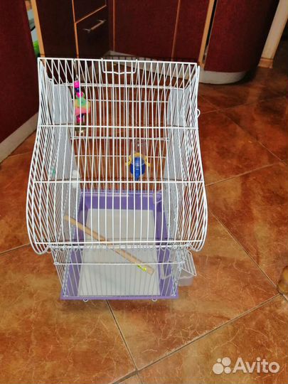 Клетка для птиц