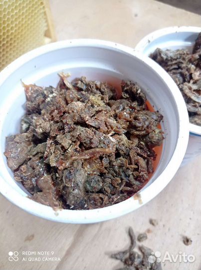 Прополис пчелиный