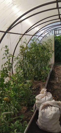 Дом 20 м² на участке 6 сот.