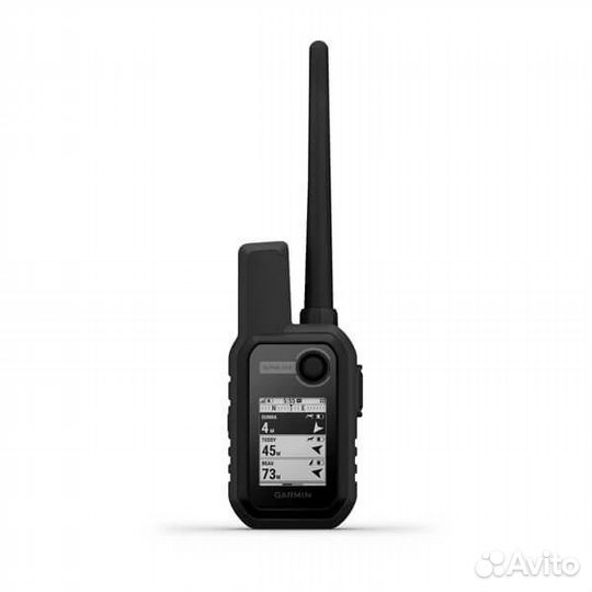 Garmin Alpha 10 RU