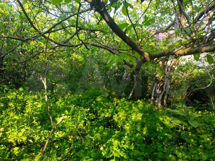 Участок 6 сот. (ИЖС)