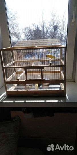 Клетки для морской свинки, канареек, амадин