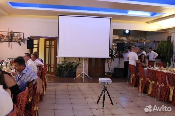 Проектор в аренду + экран