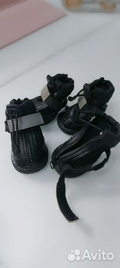 Вещи для собак