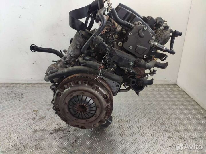 Двигатель Volkswagen Polo 4 (2001 - 2009) 1.4 AMF