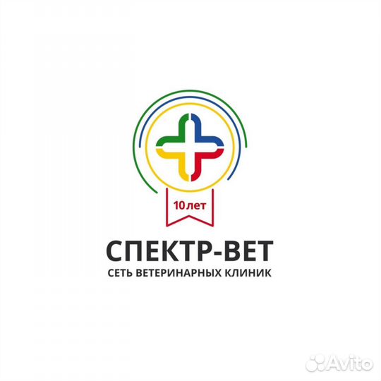 Контент менеджер SMM