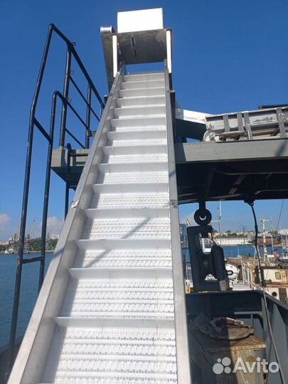 Для мойки и сортировки рыбы