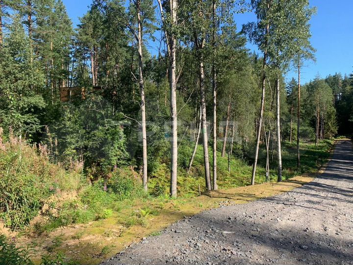 Участок 8,6 сот. (СНТ, ДНП)