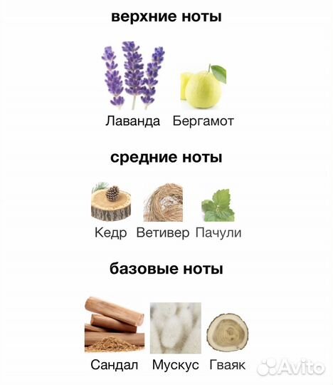 Тестер Initio rehab