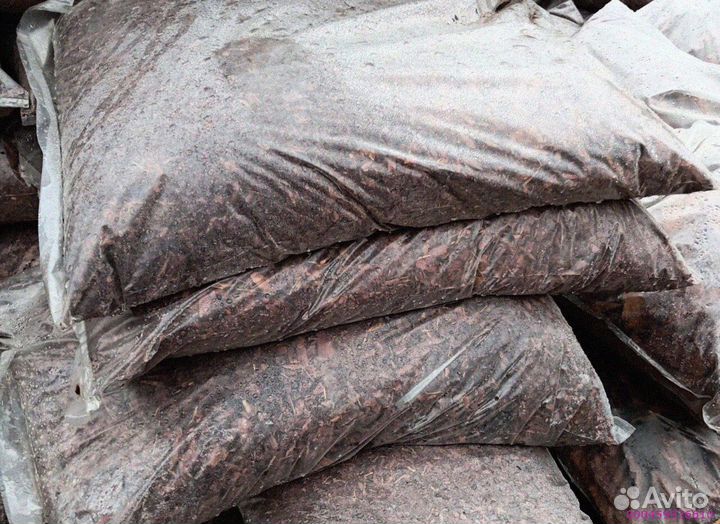 Лиственница: кора, полная жизни