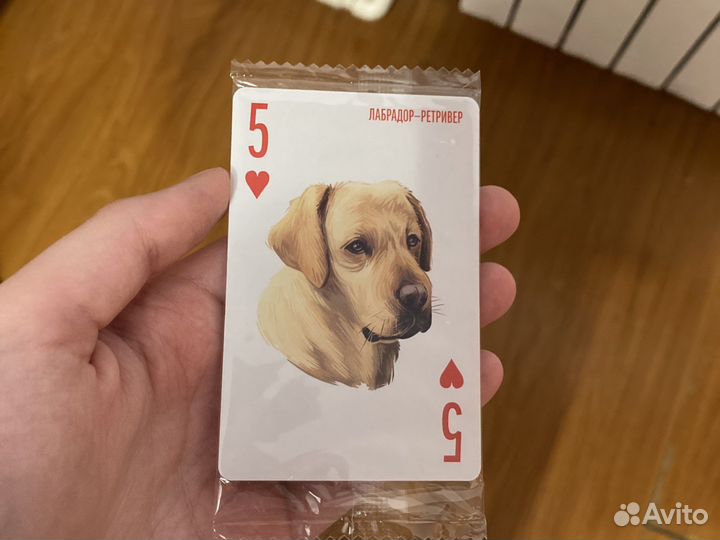 Карты с собаками