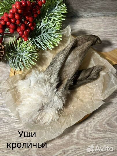 Лакомства для собак