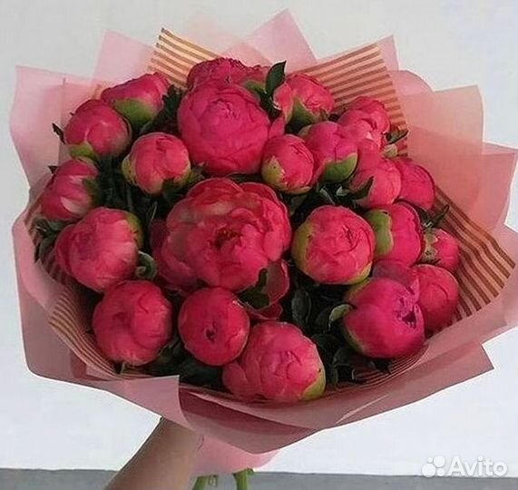 Пионы Букет пионов