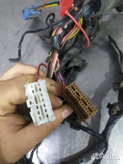 Электропроводка двери передняя левая Mitsubishi