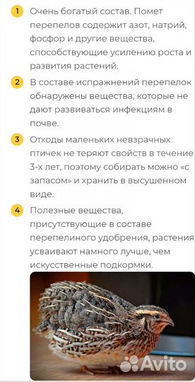 Перепелиный помет