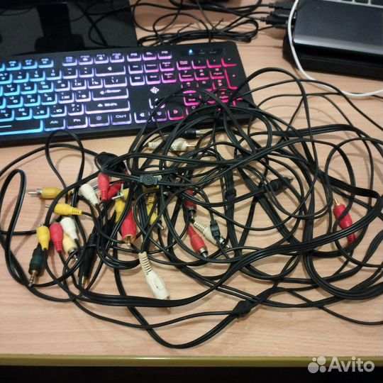 Тюльпаны провода