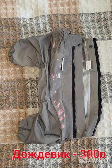 Одежда для собак, вкусняшки