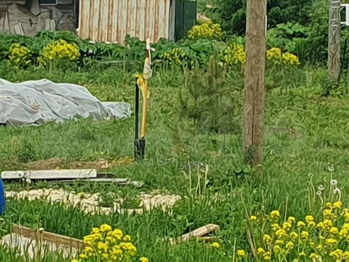 Участок 15 сот. (ИЖС)