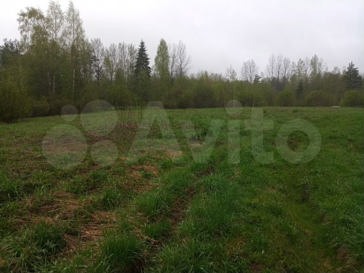 Участок 10 сот. (СНТ, ДНП)