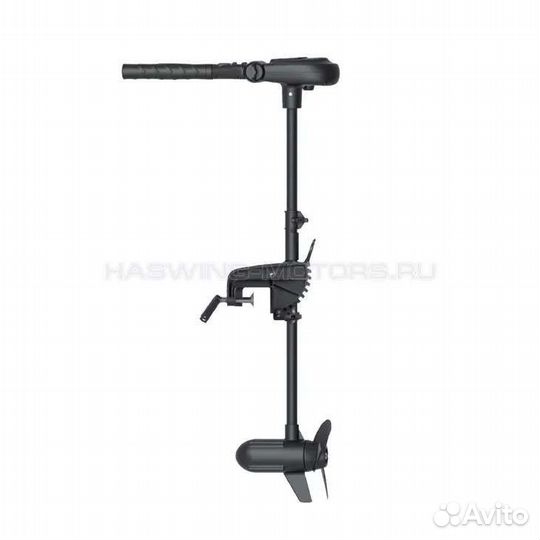 Haswing protruar 2.0 л/с