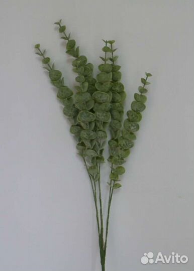 Муляж(слива и киви), лаванда для интерьера