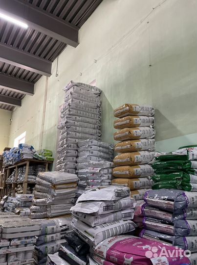 Корм для кошек 13 кг роял бритиш шортхэйр