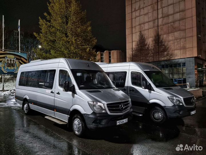 Аренда автобуса, микроавтобуса, минивена, трансфер